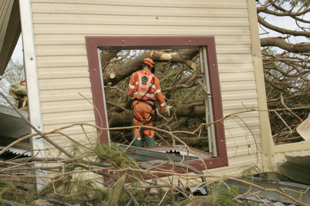 Best Tree and Shrub Care  in Conning Towers Nautilus Park, CT